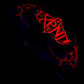 UV RAVER FAN